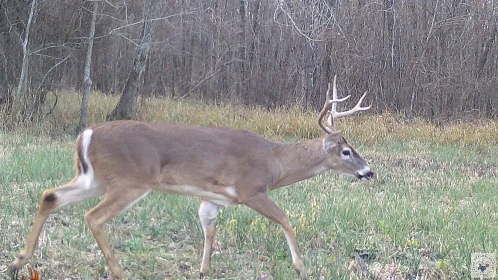 Picture 3