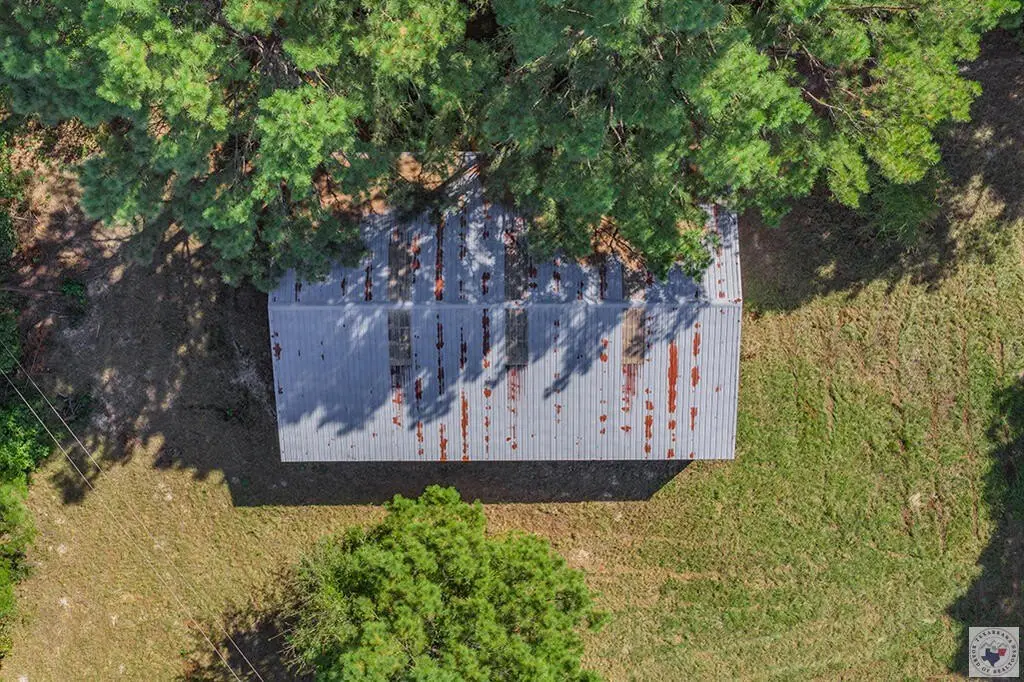 Picture 14