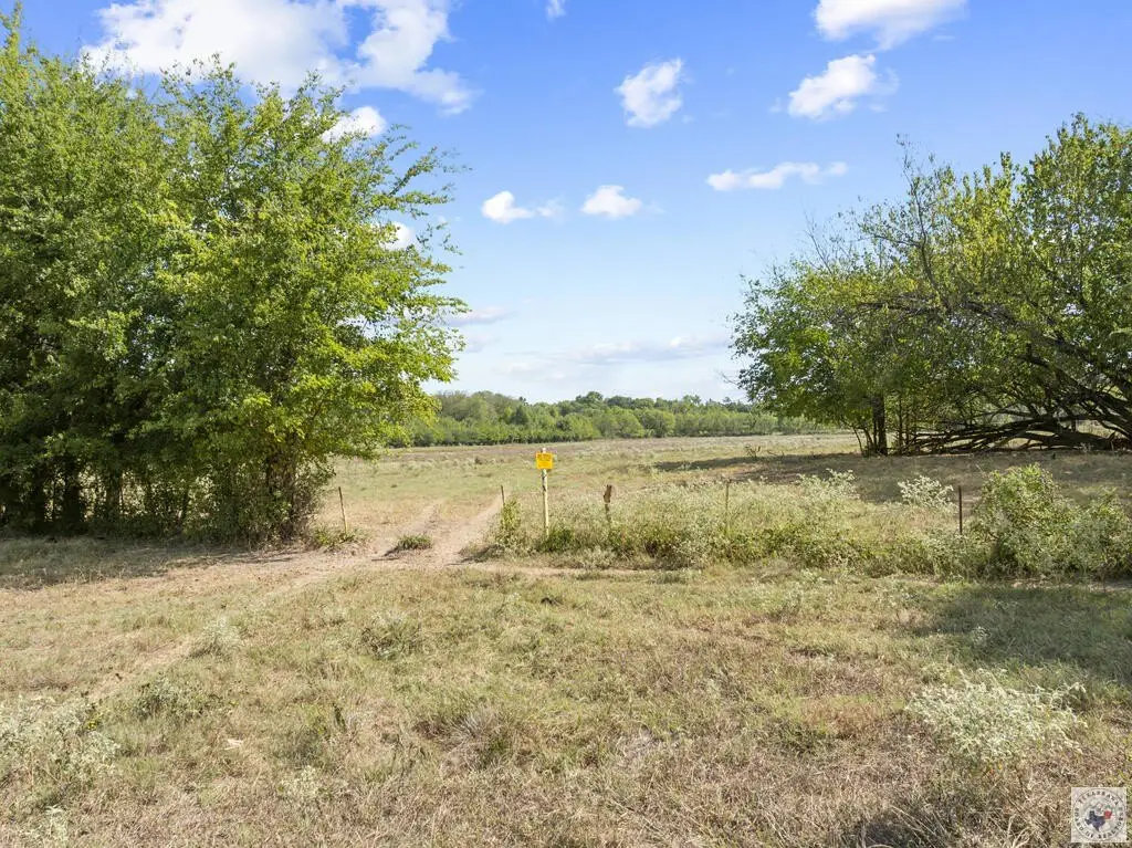Picture 20