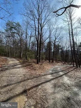 Undeveloped Wooded Land in Rileyville