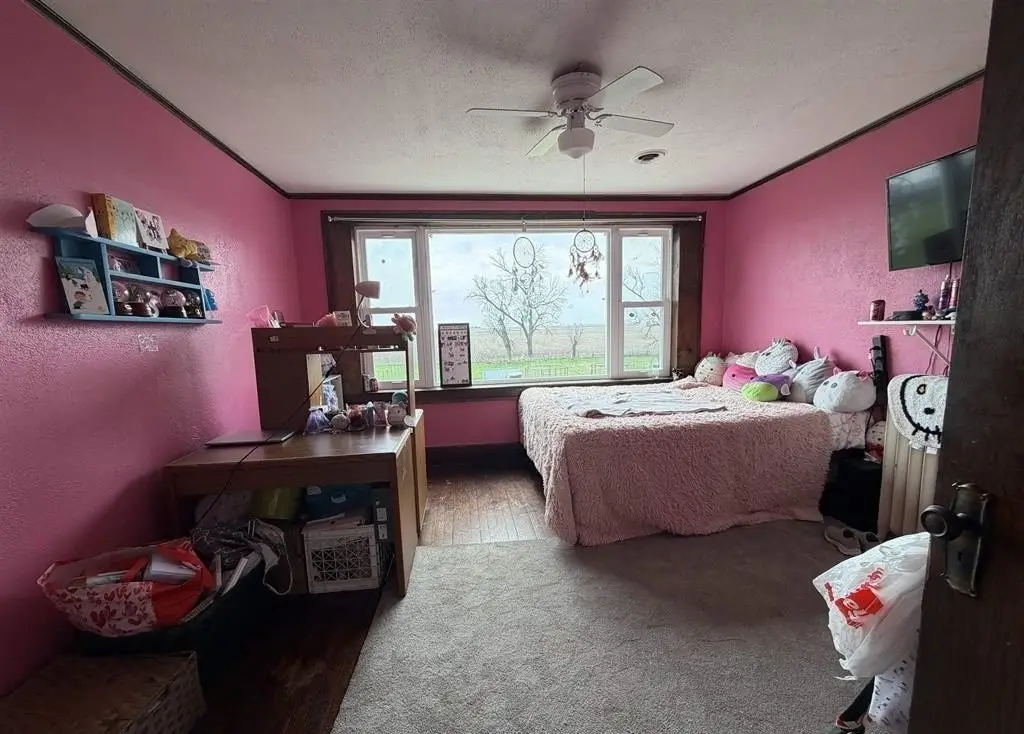 Picture 14