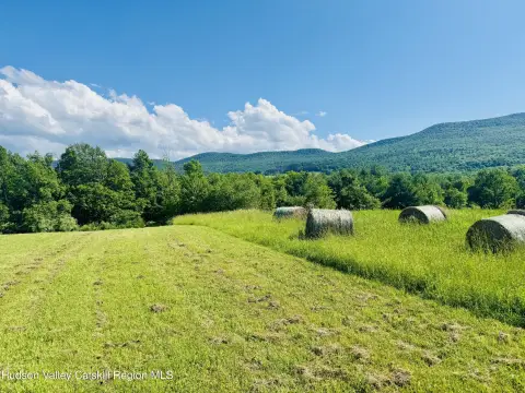 Catskill Mountains 80+ Acre Estate