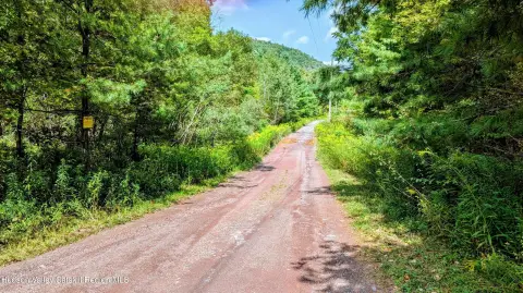 97 Acres of Pristine Woodland