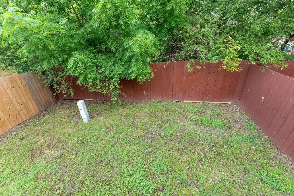Picture 15