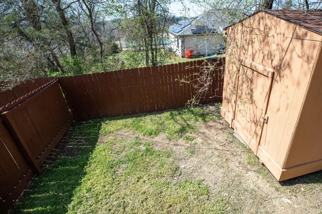 Picture 41