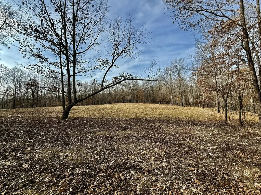 Picture 12