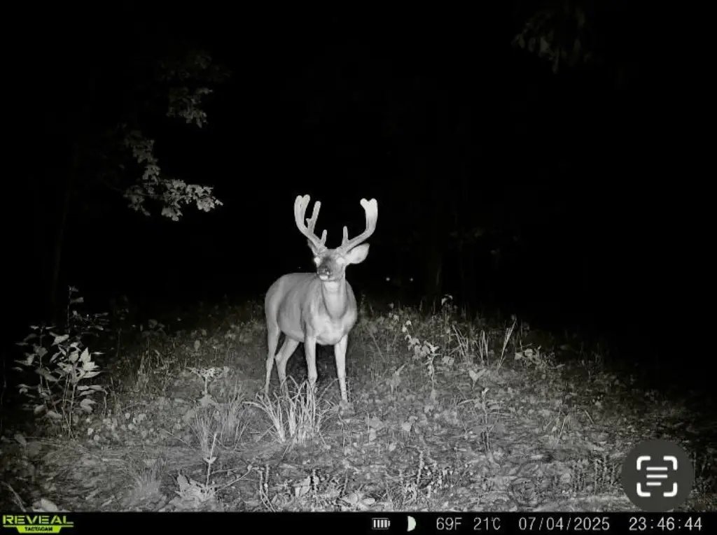 Picture 16