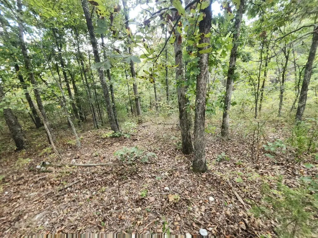 Picture 13