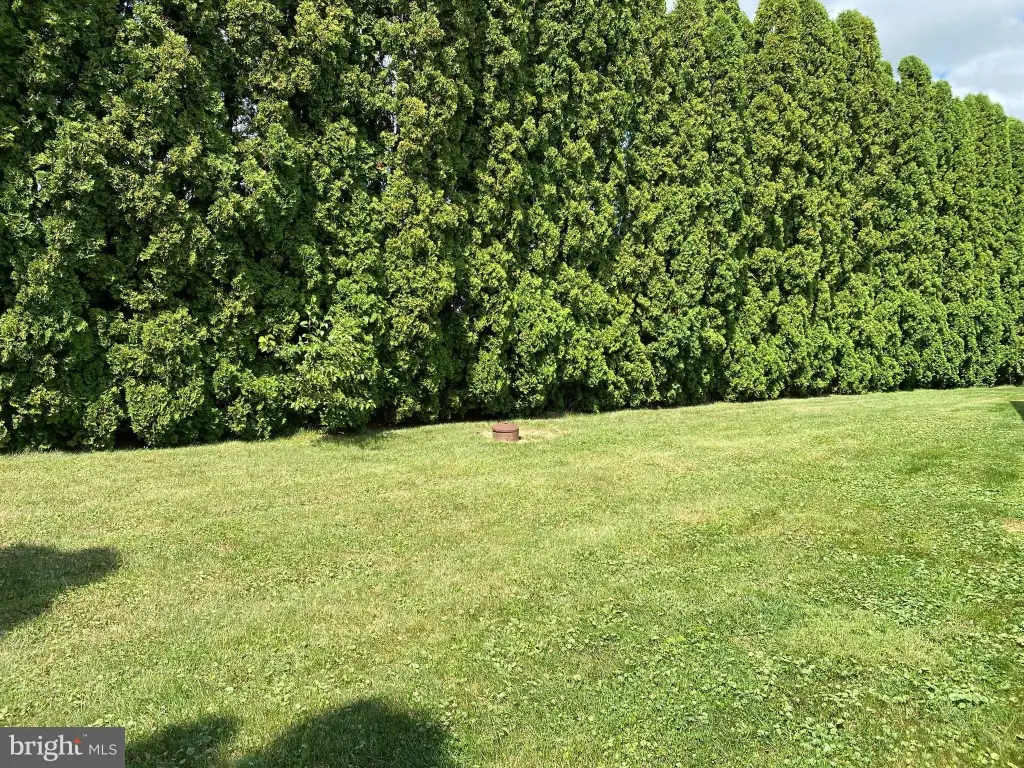 Picture 14