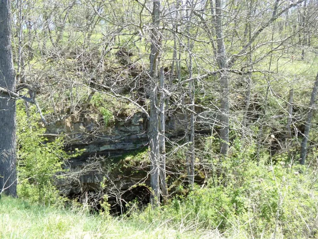 Picture 25