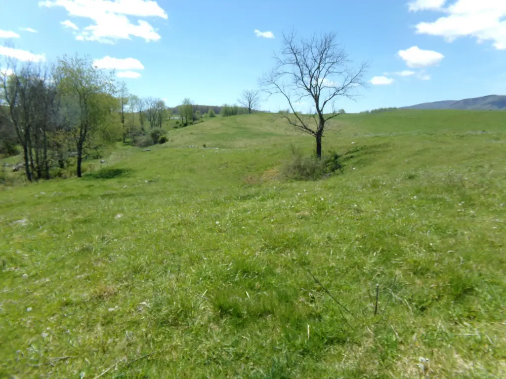Picture 21