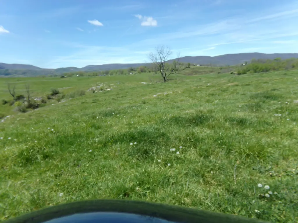 Picture 30