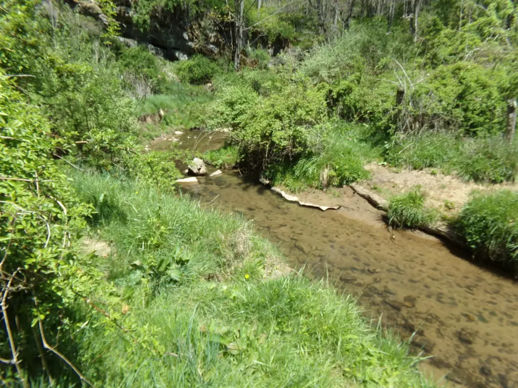 Picture 17