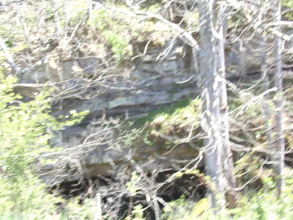 Picture 24