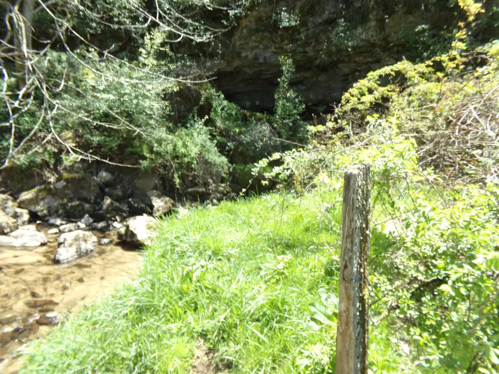 Picture 19