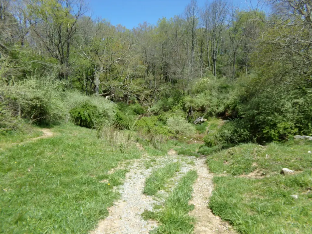 Picture 15
