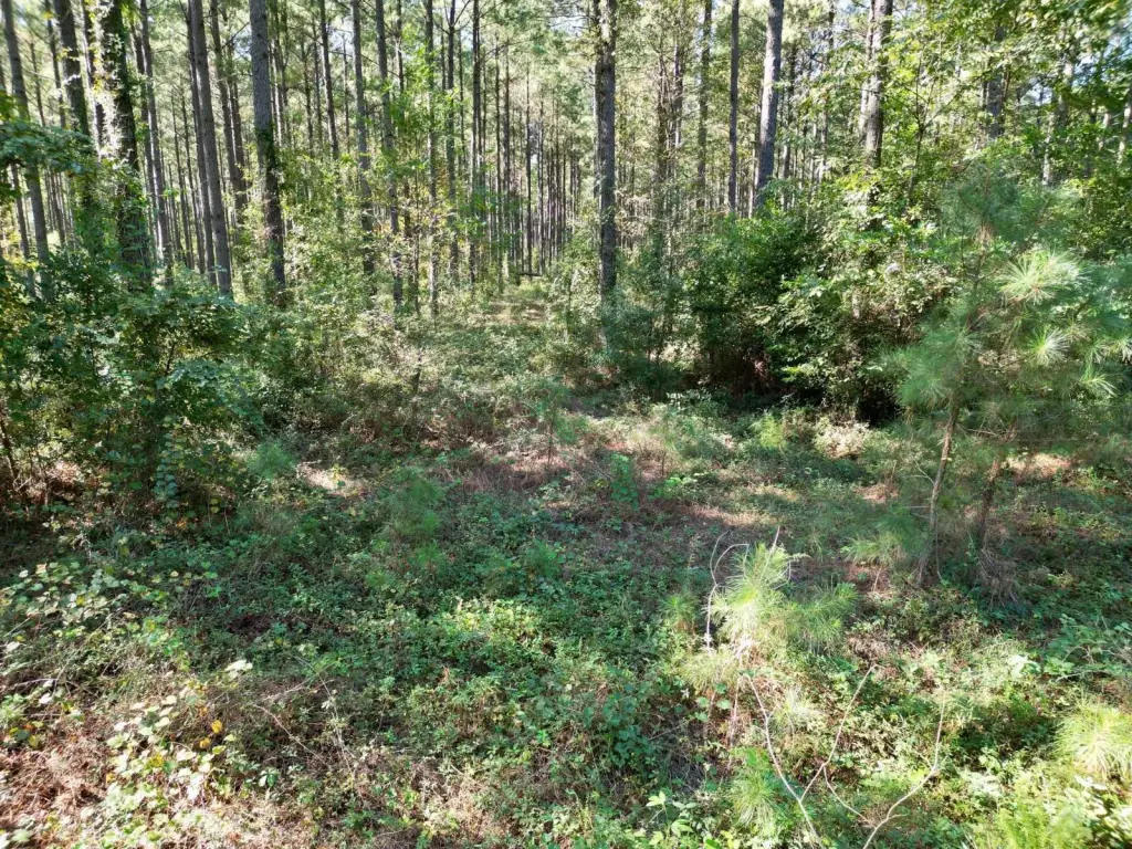 Picture 16