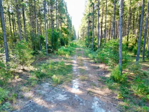 Managed Timber Recreation Land