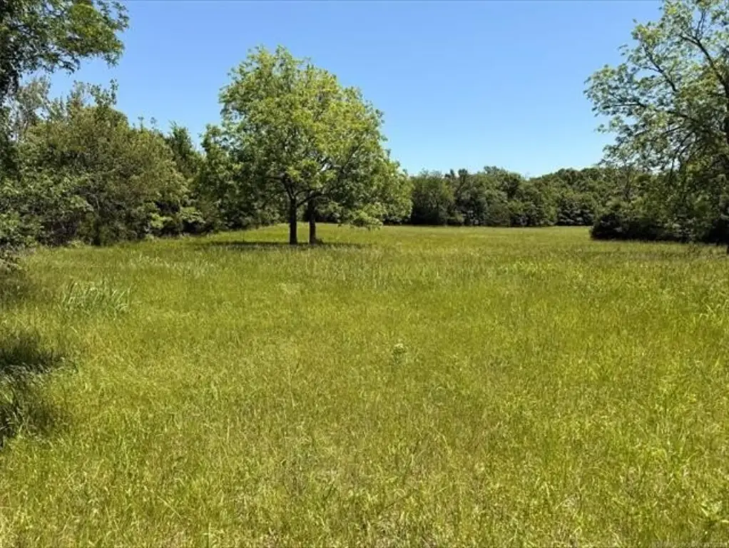 Picture 2