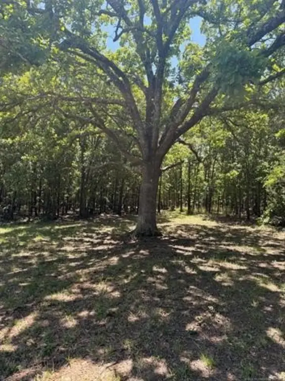 Picture 8