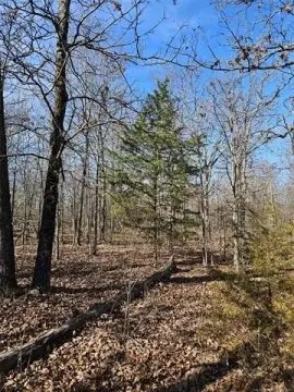 Afton OK Land For Sale