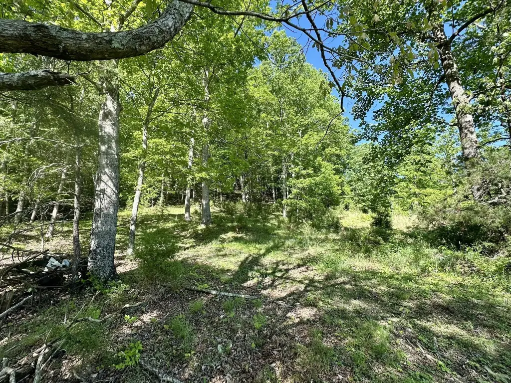Picture 38