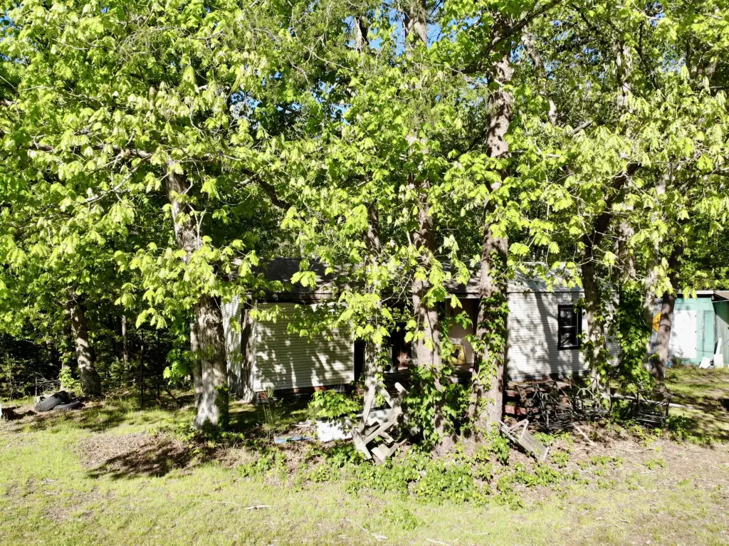 Picture 29