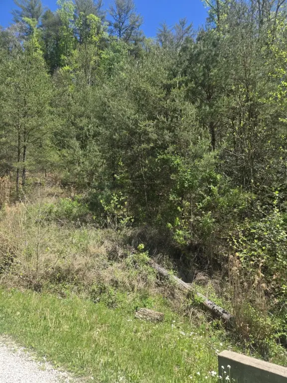 Picture 4