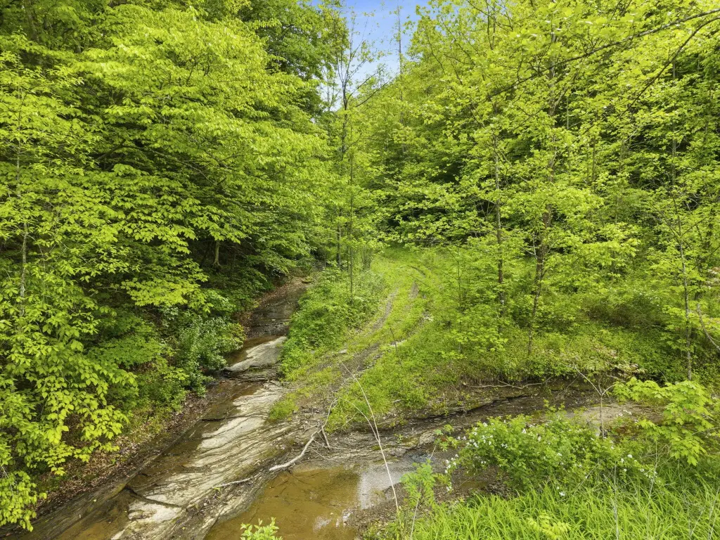 Picture 25