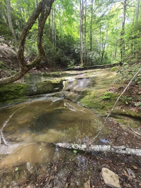 Picture 6