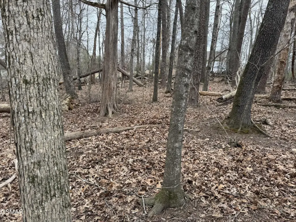 Picture 14
