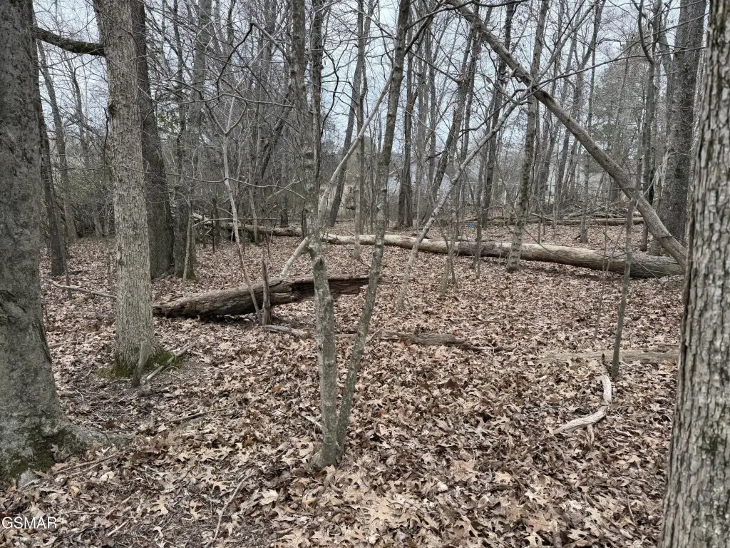 Picture 13
