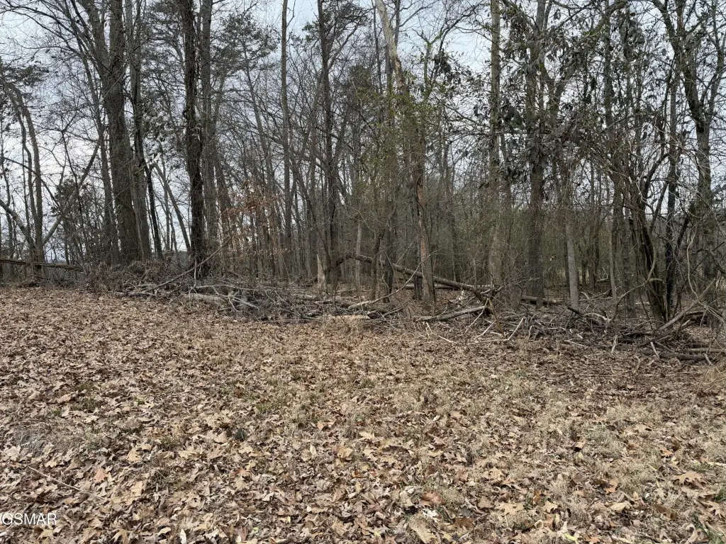 Picture 17