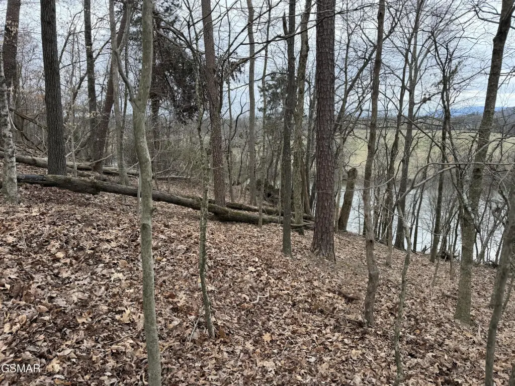 Picture 16