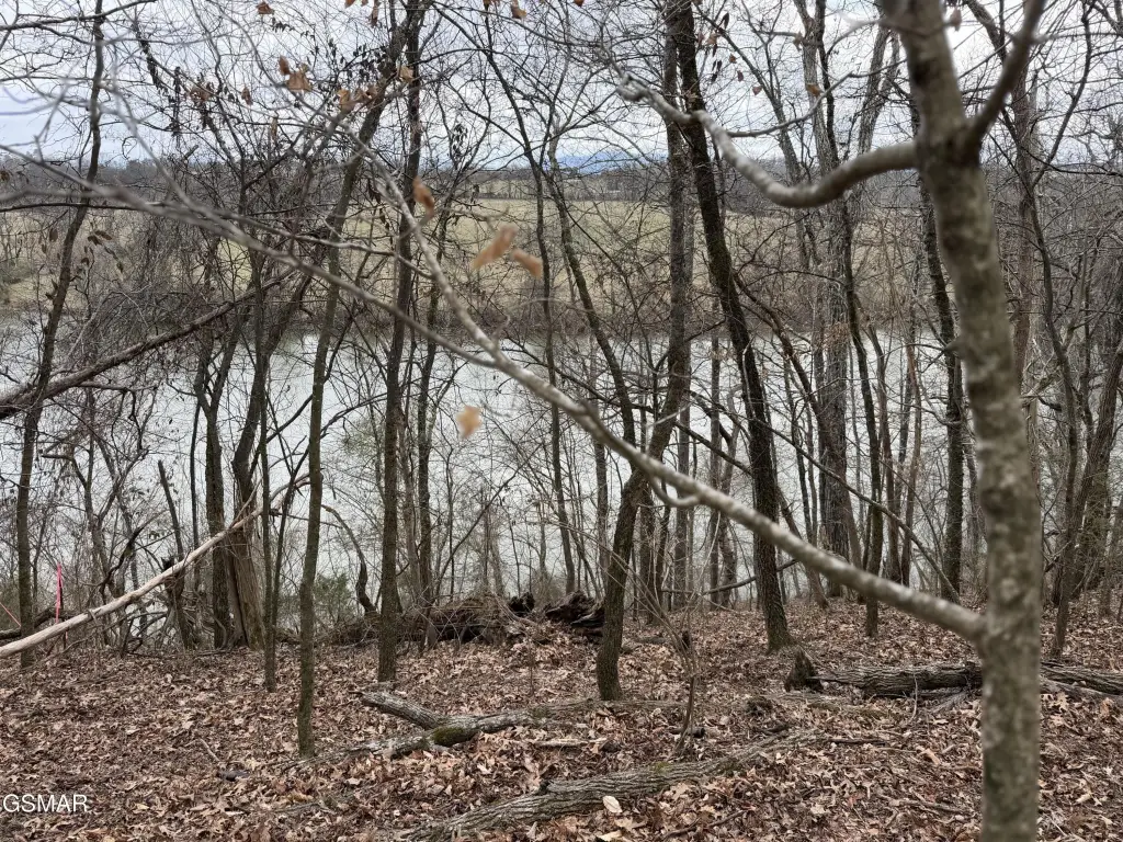 Picture 2