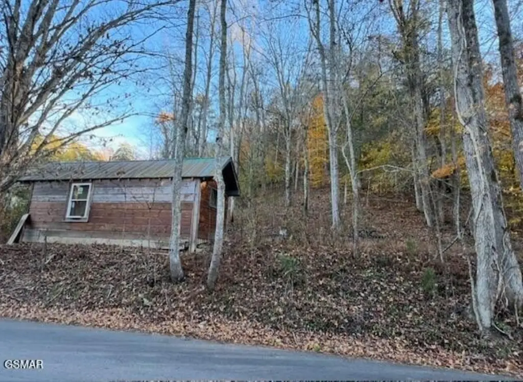 Picture 9
