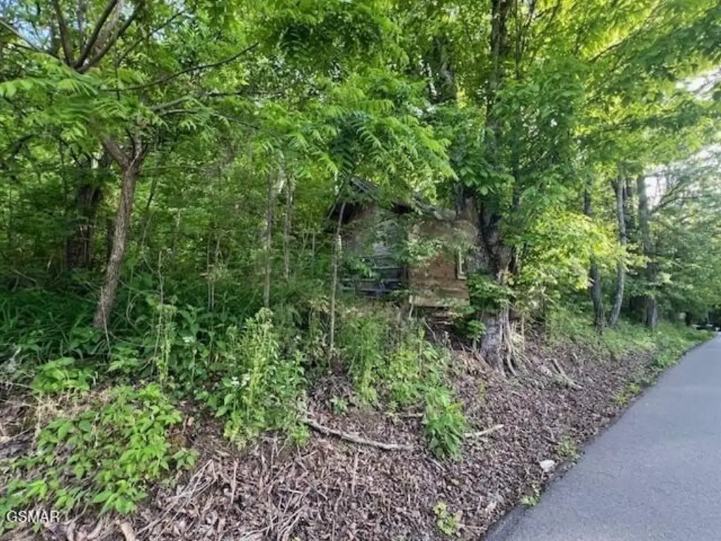 Picture 4