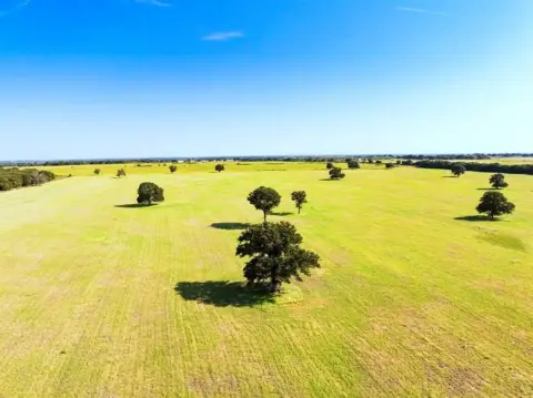 Texas Ranch with Hunting Potential