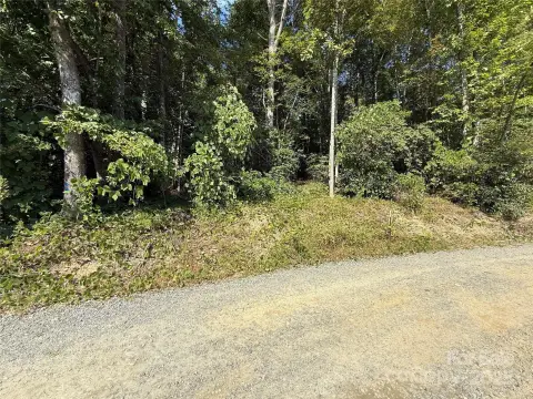 Wooded Lot in Penrose, NC