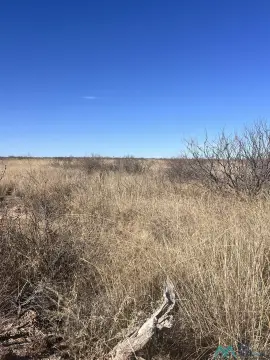 61 Acres of Vacant Land