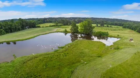 East Texas Livestock-Ready Acreage