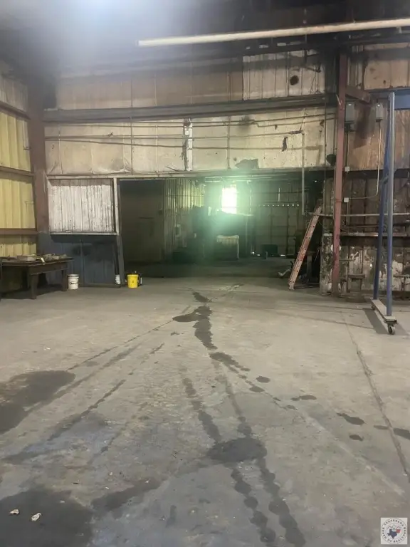 Picture 5