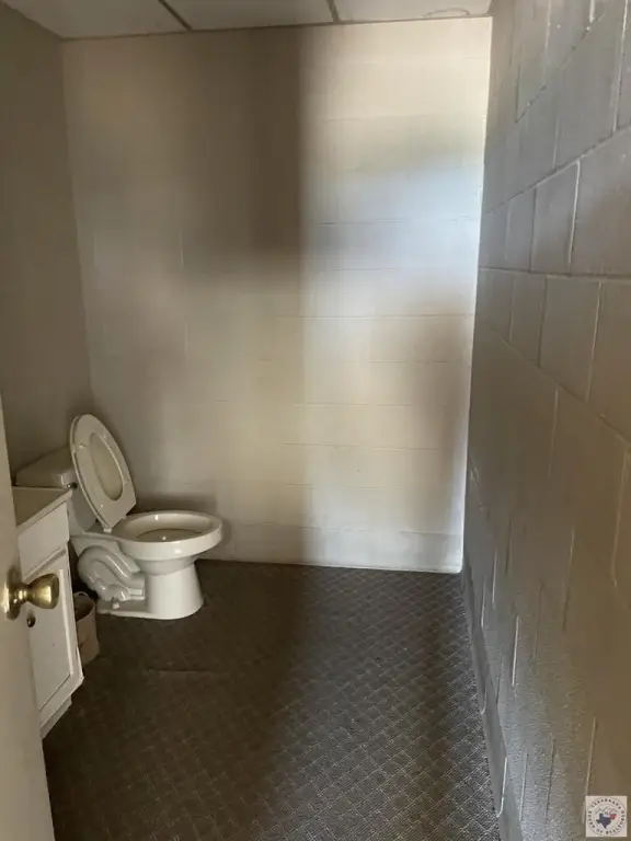Picture 19