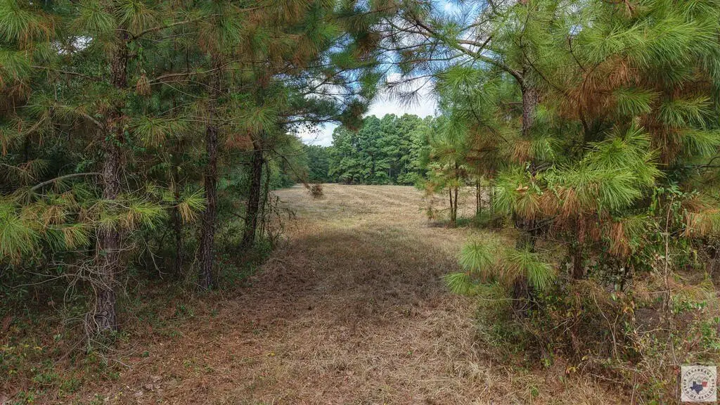 Picture 18