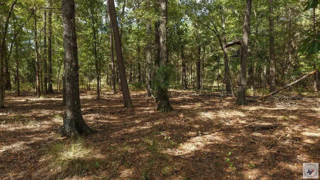 Picture 16