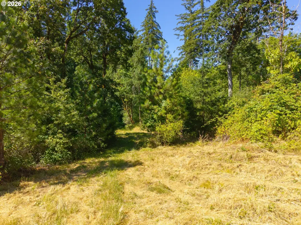 Picture 25