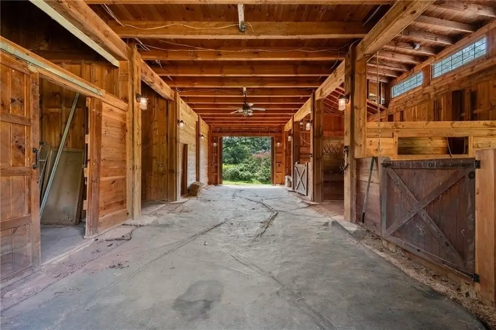 Picture 11