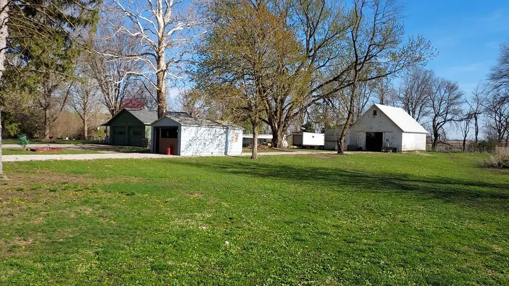 Picture 6