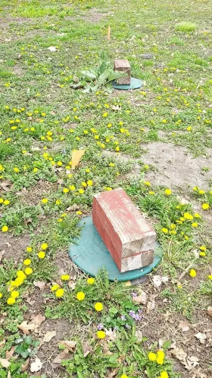 Picture 13