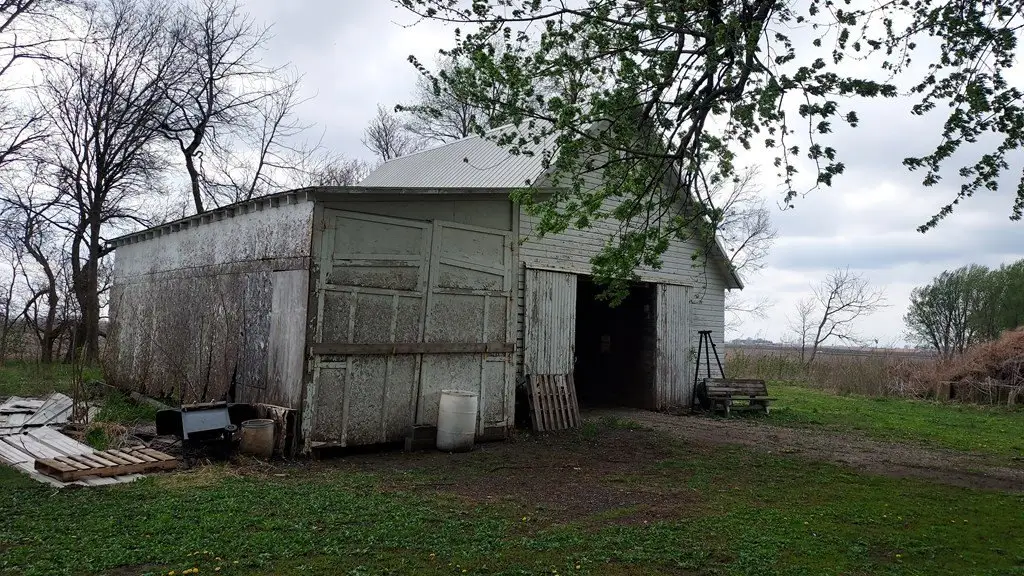 Picture 7